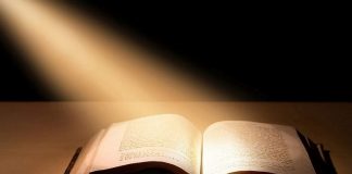 Як папуги в клітці