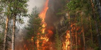 Не карайте землю вогнем