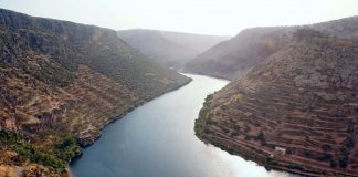 На ріках вавилонських: чому ми співаємо цей псалом перед Великим постом