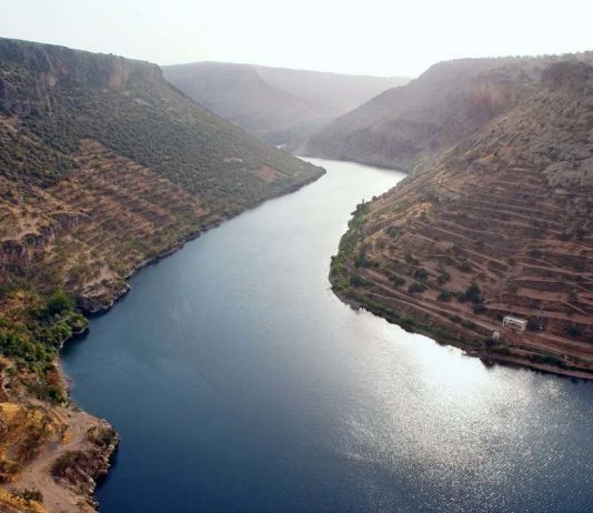 На ріках вавилонських: чому ми співаємо цей псалом перед Великим постом