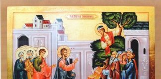 Архієпископ Афанасій звершив літургію в Неділю про Закхея