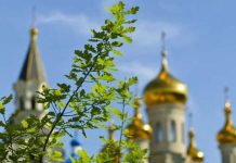 На Зелену Неділю (оповідання)