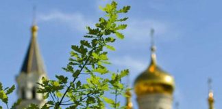 На Зелену Неділю (оповідання)