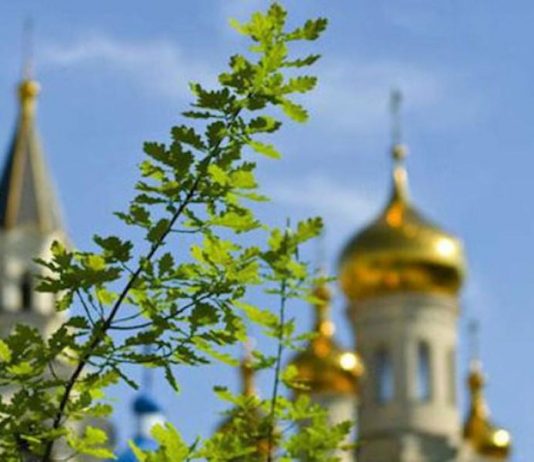 На Зелену Неділю (оповідання)