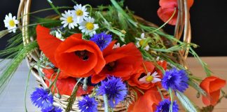 Вітання Валентині Вождаєнко, директору Департаменту культури і туризму Полтавської ОДА