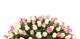 Клір та віряни Харківсько-Полтавської єпархії ПЦУ вітають архієпископа Афанасія із ювілеєм