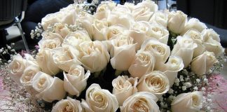 Вітання архієпископу Афанасію в день його тезоіменитства