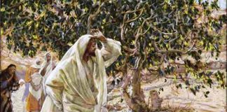 Слово на початок Нового року