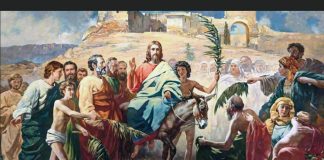 Архієпископ Афанасій звершив Богослужіння свята Входу Господнього в Єрусалим