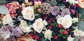 Вітання з днем народження керуючому Харківсько-Полтавською єпархією архієпископу Афанасію